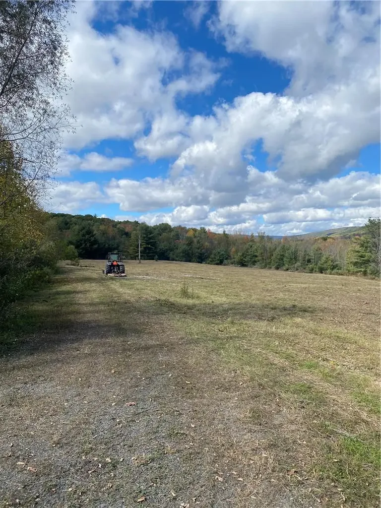 Panorama Durham NY 12423