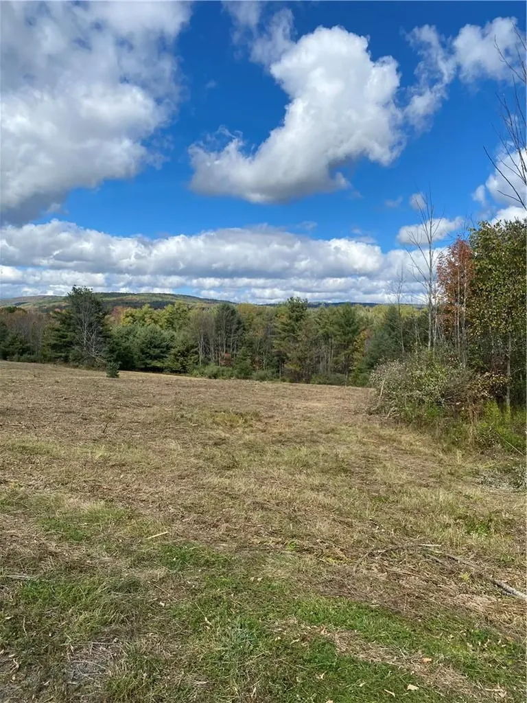 Panorama Durham NY 12423