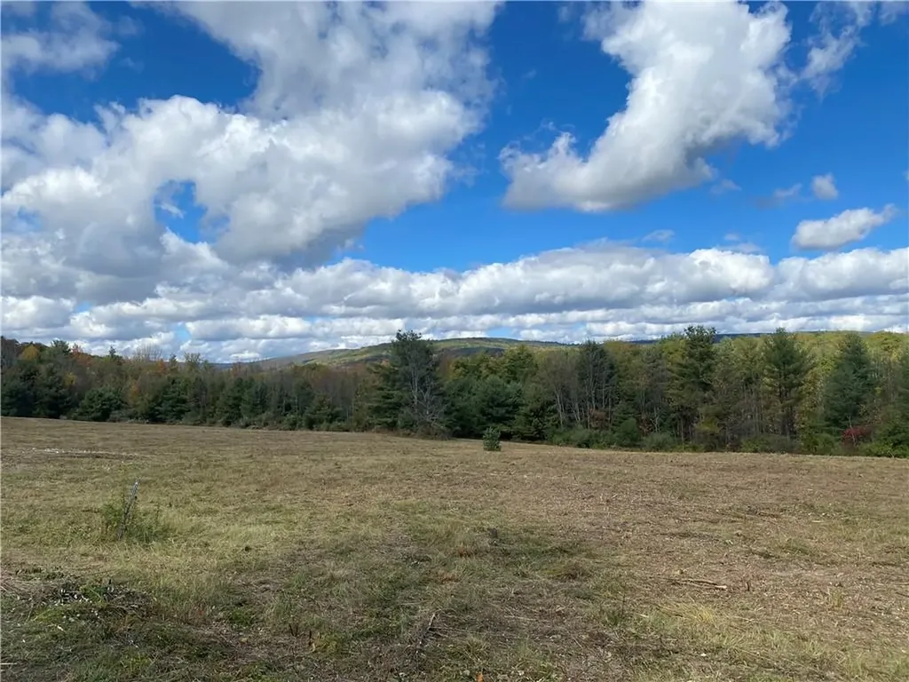 Panorama Durham NY 12423