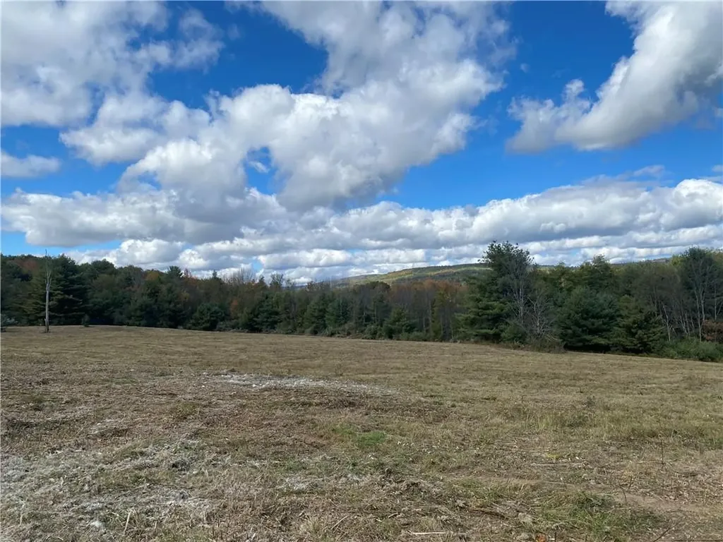 Panorama Durham NY 12423