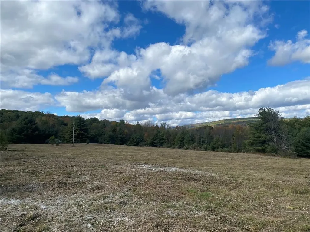 Panorama Durham NY 12423