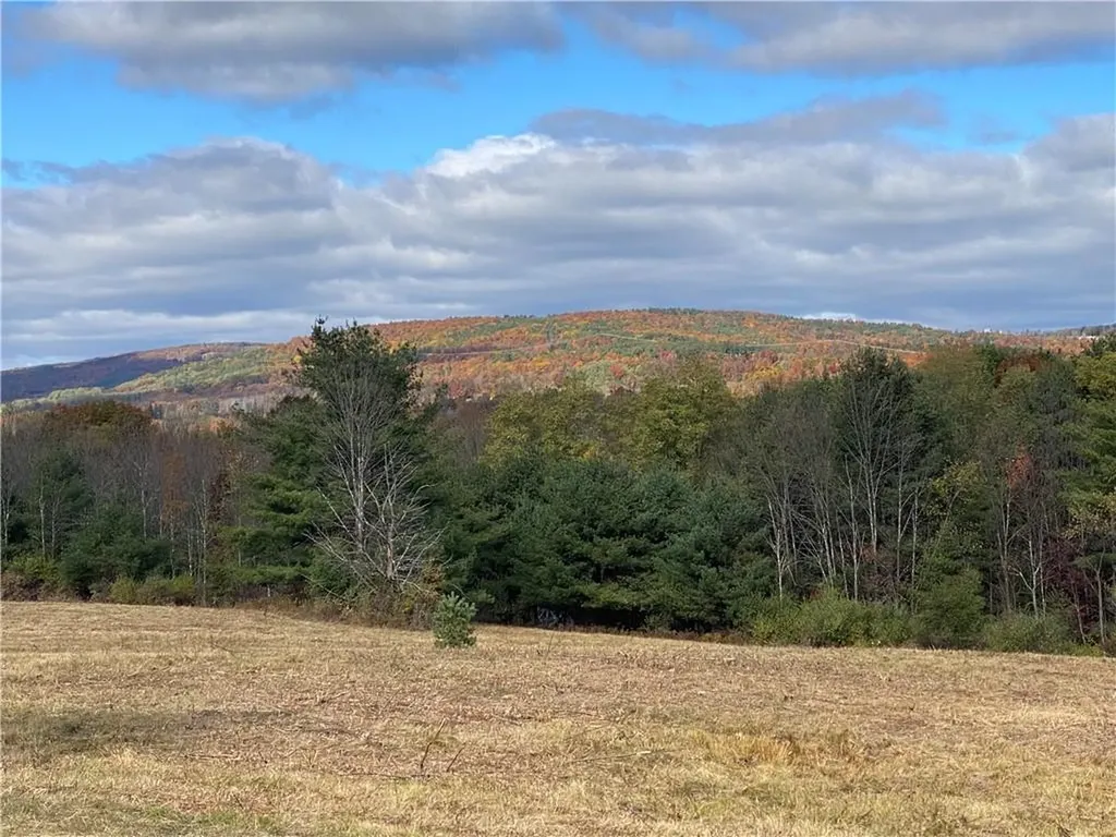 Panorama Durham NY 12423