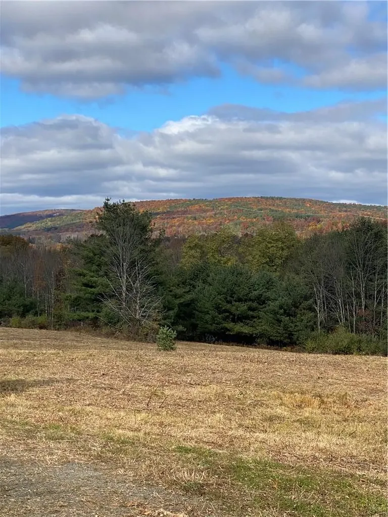 Panorama Durham NY 12423