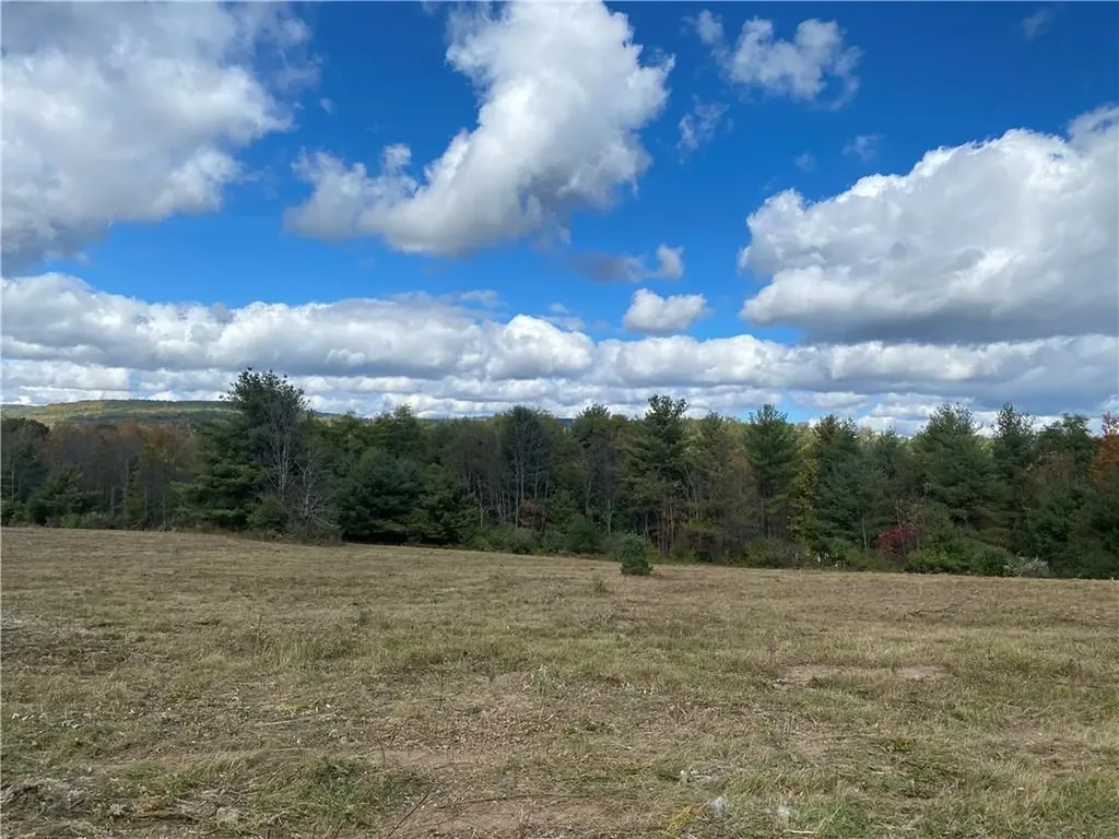 Panorama Durham NY 12423