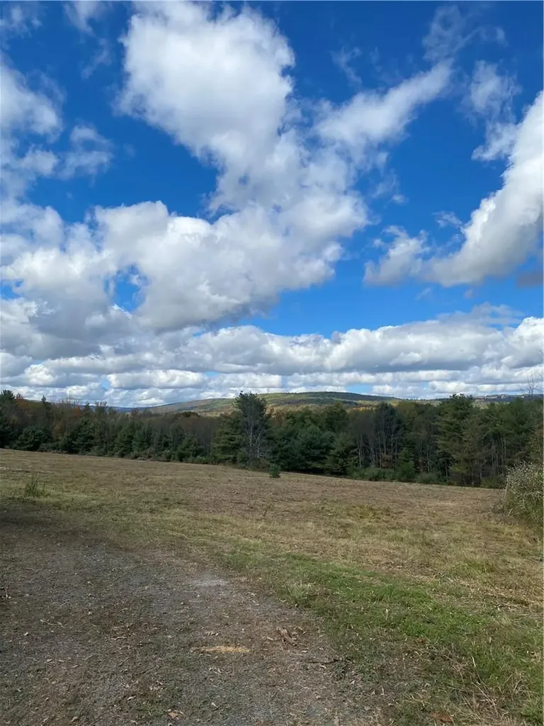 Panorama Durham NY 12423