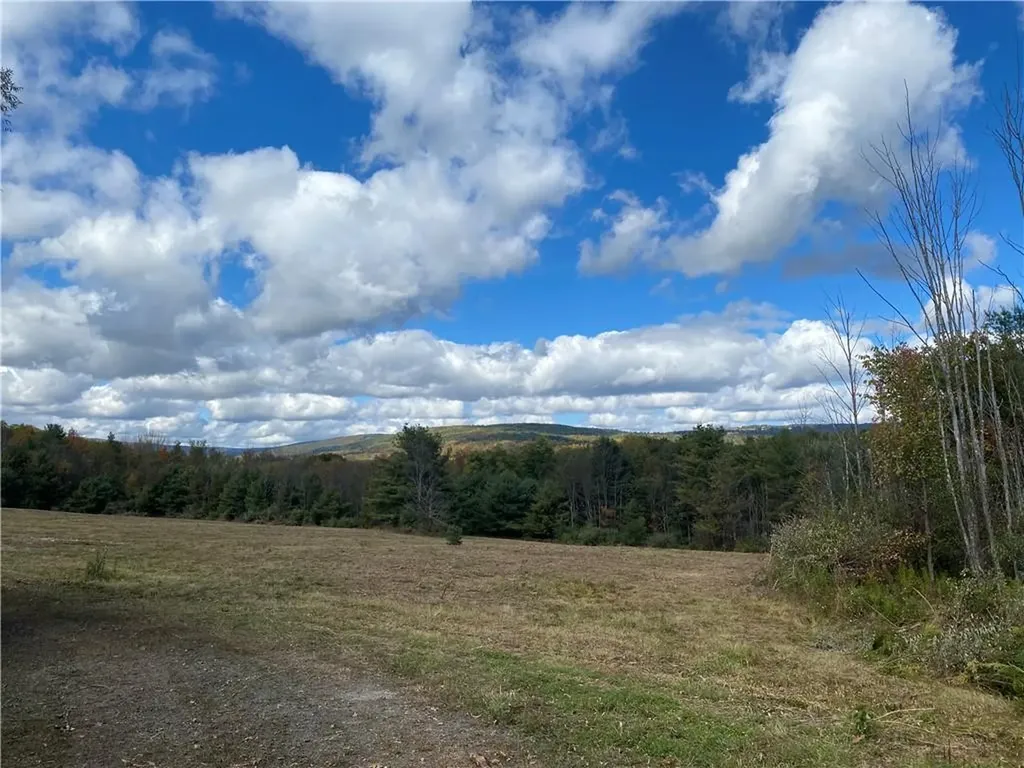 Panorama Durham NY 12423