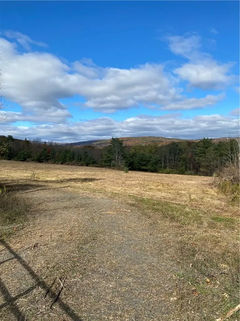 Panorama Durham NY 12423