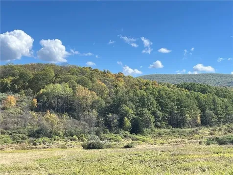 Woodward Hill, Stissng Mount, Hicks Hill, Route 199 Pine Plains NY 12567