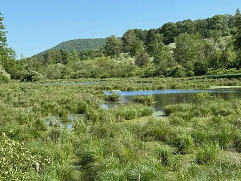 Woodward Hill, Stissng Mount, Hicks Hill, Route 199 Pine Plains NY 12567