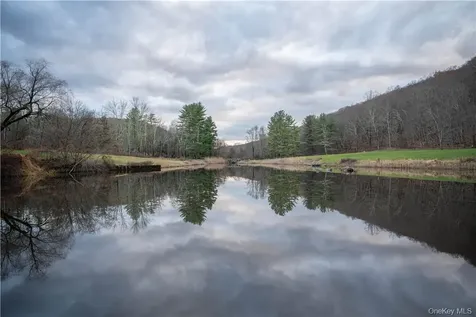 165 Duell Hollow Road Wingdale NY 12594