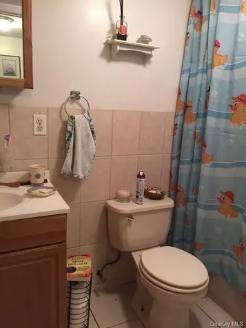 705 E 183rd Street Bronx NY 10458