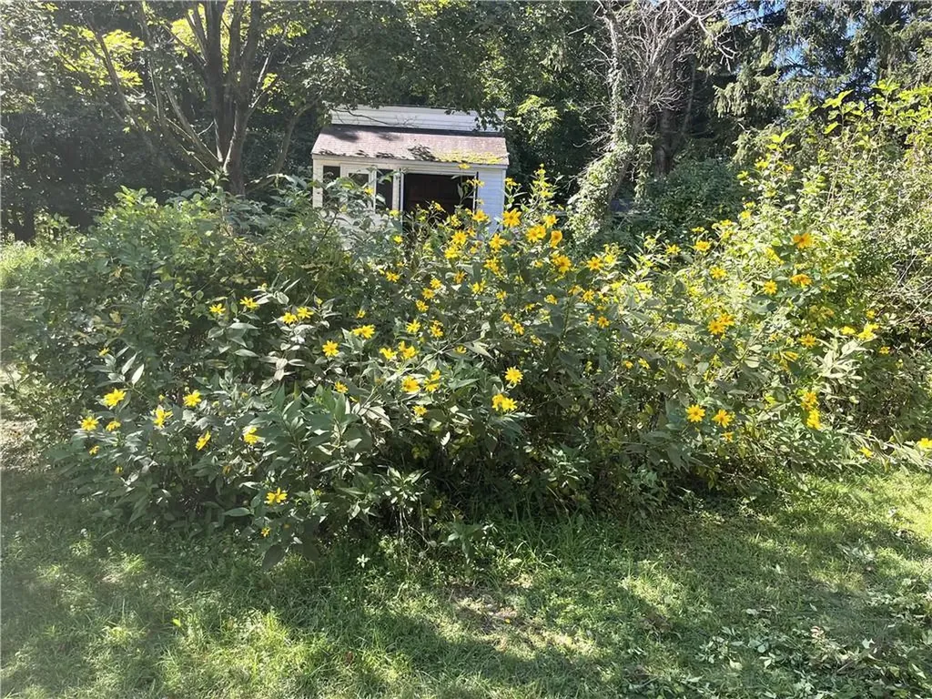28 Fruit Bud Lane Red Hook NY 12571
