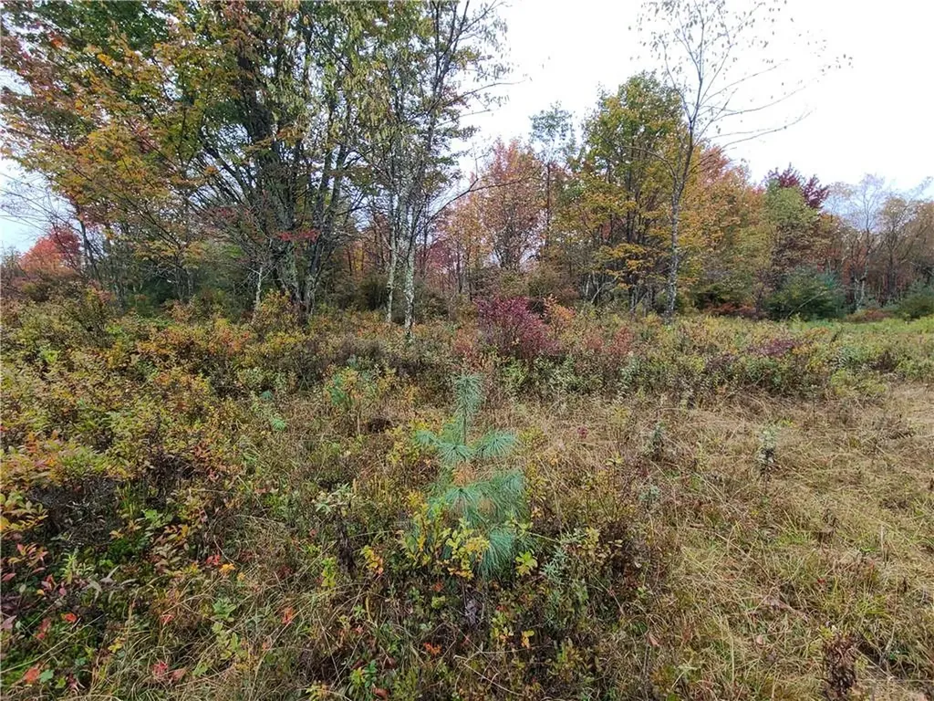 116 Voss Road Claryville NY 12725