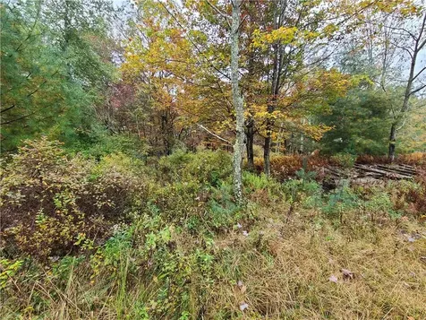 116 Voss Road Claryville NY 12725