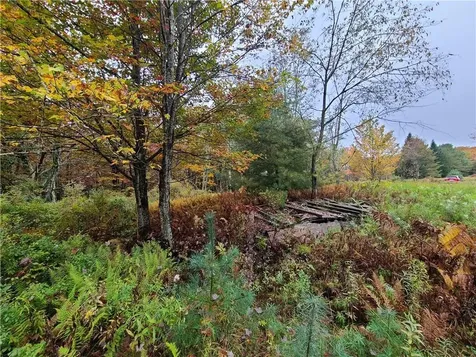 116 Voss Road Claryville NY 12725