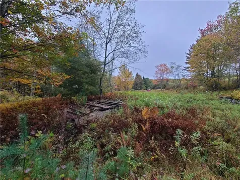 116 Voss Road Claryville NY 12725
