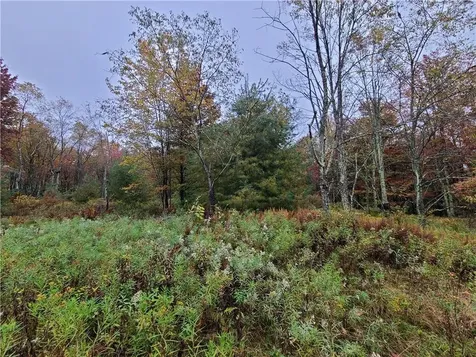 116 Voss Road Claryville NY 12725