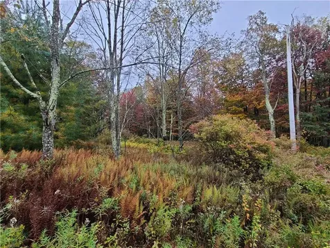 116 Voss Road Claryville NY 12725