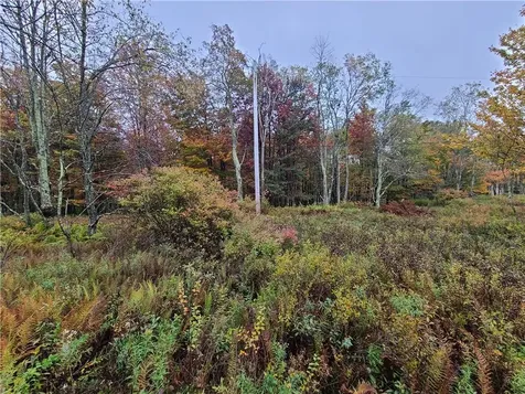116 Voss Road Claryville NY 12725