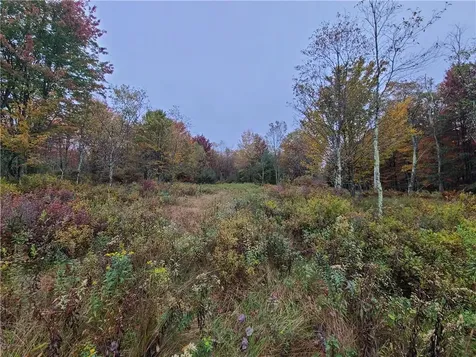 116 Voss Road Claryville NY 12725