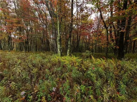 116 Voss Road Claryville NY 12725