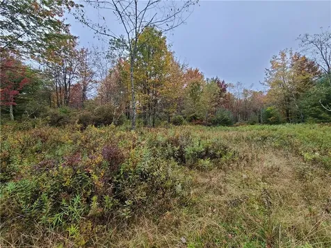 116 Voss Road Claryville NY 12725