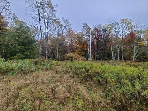116 Voss Road Claryville NY 12725