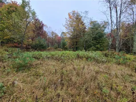116 Voss Road Claryville NY 12725