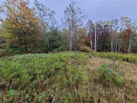 116 Voss Road Claryville NY 12725