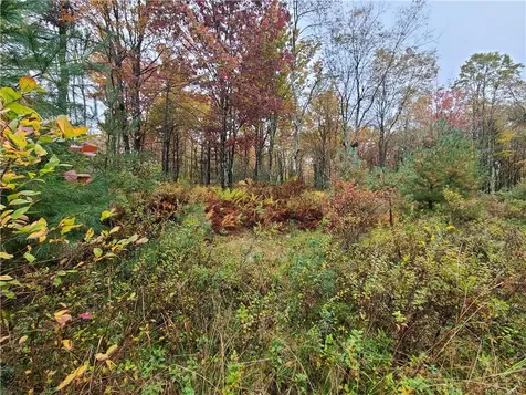 116 Voss Road Claryville NY 12725