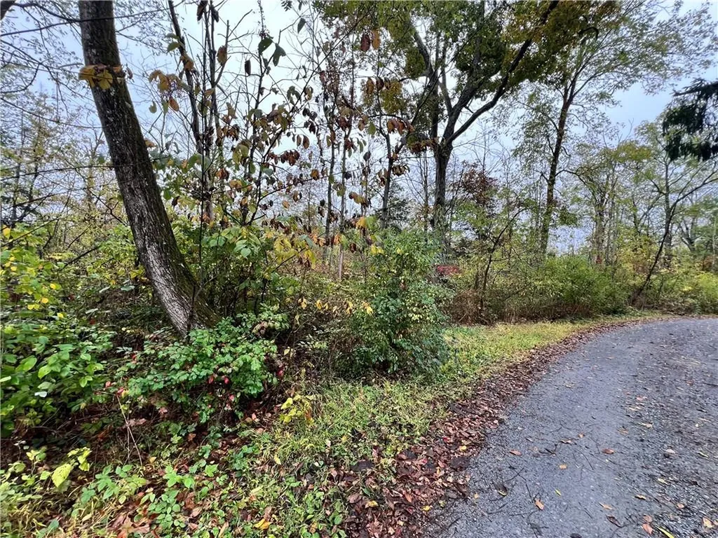 8 Shady Tree Lane Poughkeepsie NY 12603