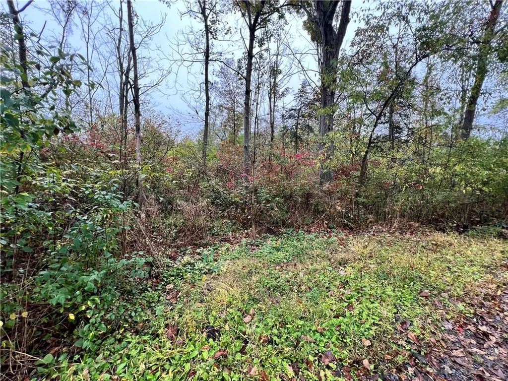 8 Shady Tree Lane Poughkeepsie NY 12603