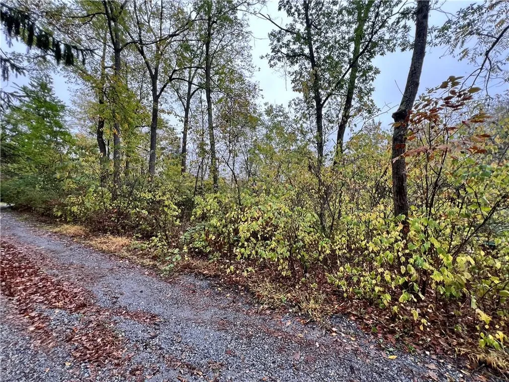 8 Shady Tree Lane Poughkeepsie NY 12603
