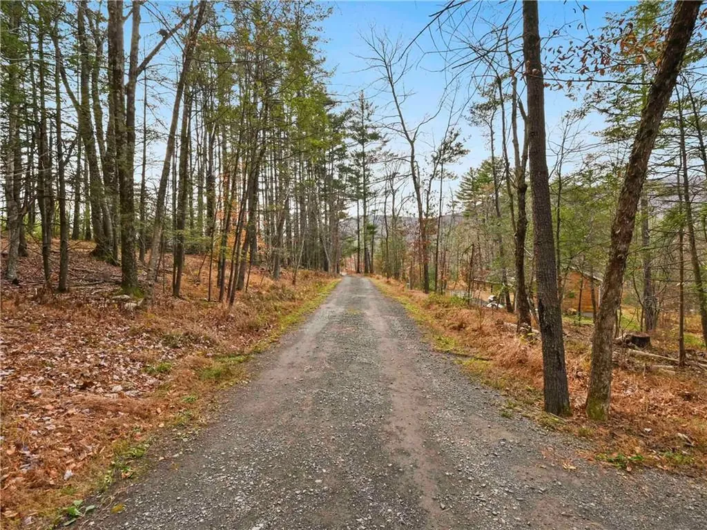 1420 Wittenberg Road Mount Tremper NY 12457