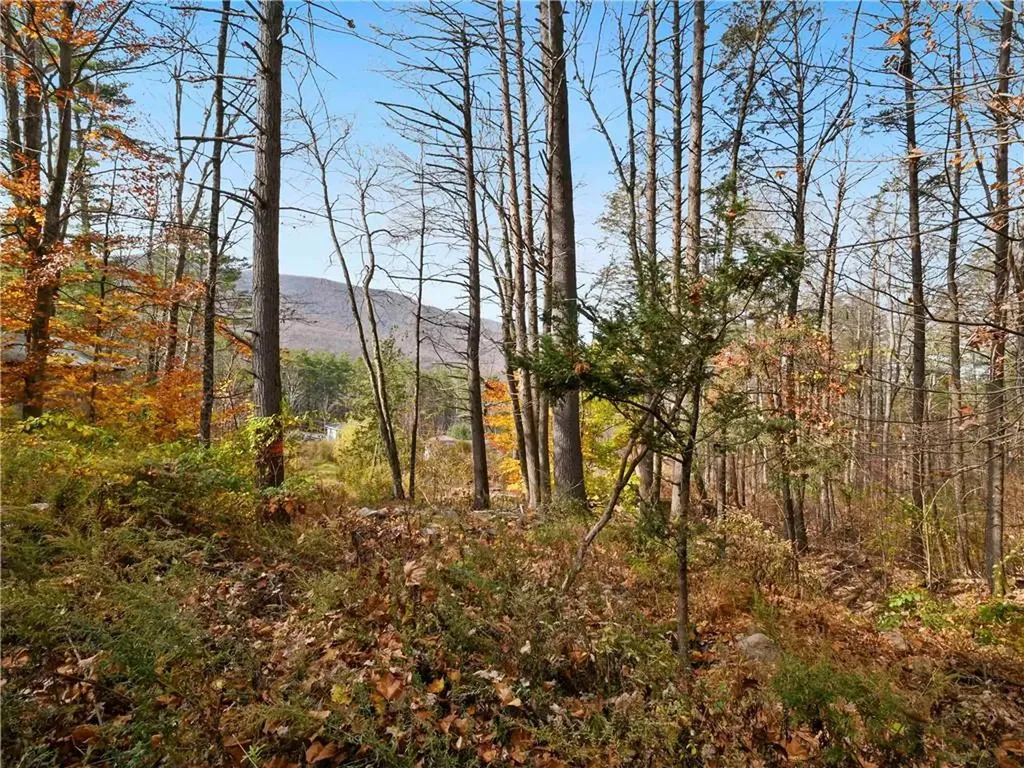 1420 Wittenberg Road Mount Tremper NY 12457