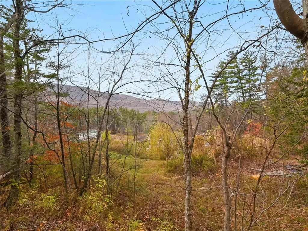 1420 Wittenberg Road Mount Tremper NY 12457