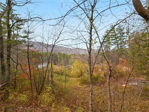 1420 Wittenberg Road Mount Tremper NY 12457