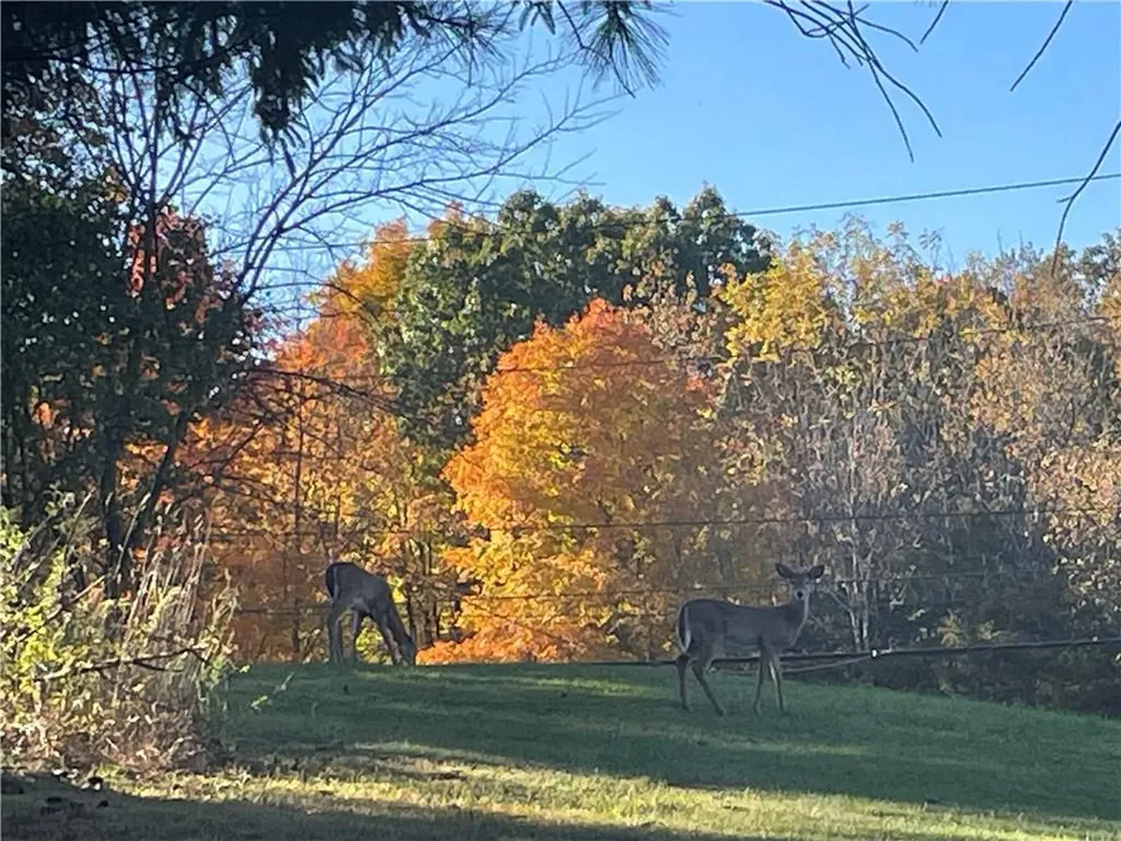 24 Distillery Road Warwick NY 10990