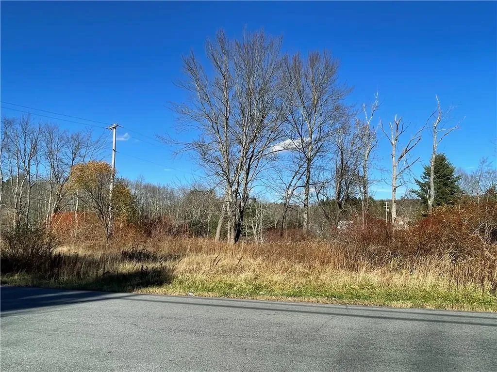 Brophy Road Fallsburg NY 12733