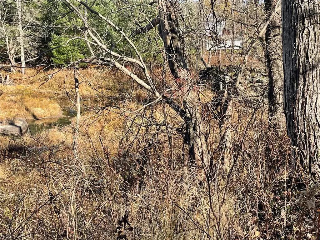 Brophy Road Fallsburg NY 12733