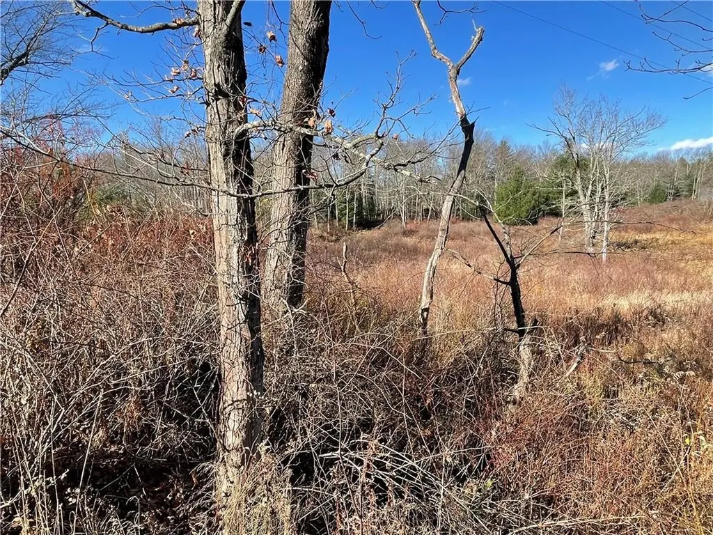 Brophy Road Fallsburg NY 12733