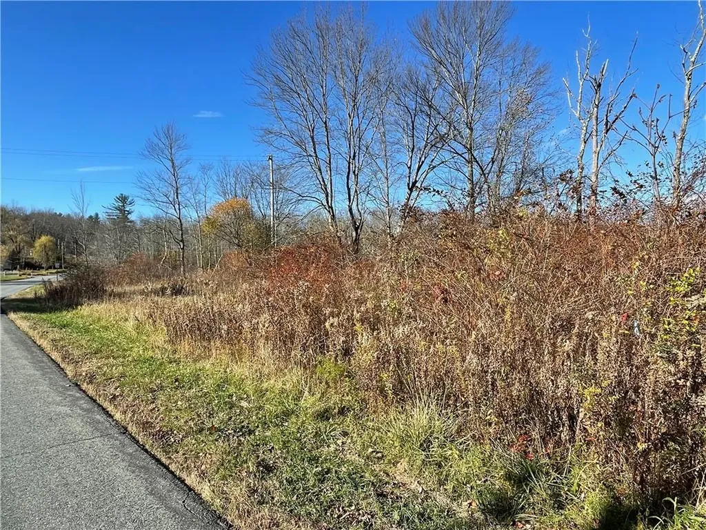 Brophy Road Fallsburg NY 12733