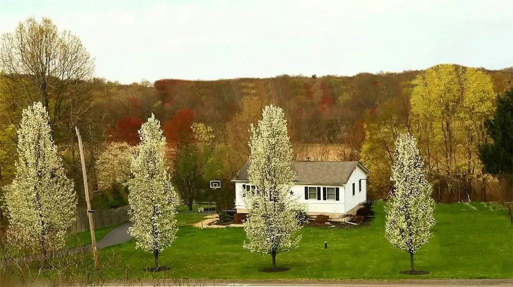 423 Rock Cut Road Walden NY 12586
