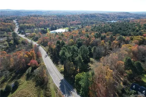 1195 Nys Route 17b Mongaup Valley NY 12762