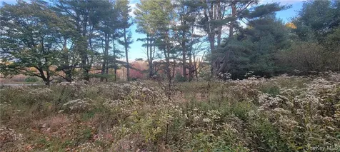1195 Nys Route 17b Mongaup Valley NY 12762