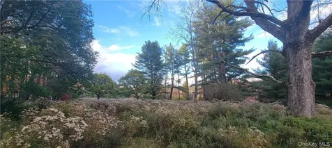 1195 Nys Route 17b Mongaup Valley NY 12762