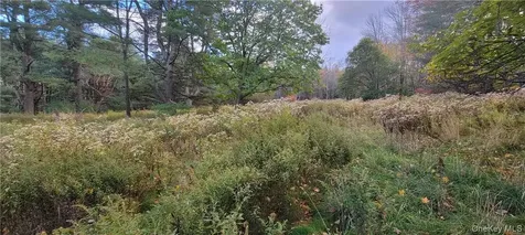 1195 Nys Route 17b Mongaup Valley NY 12762