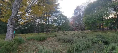 1195 Nys Route 17b Mongaup Valley NY 12762