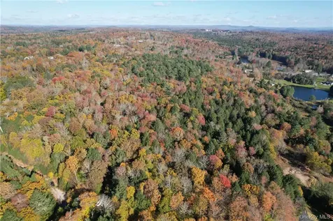 1195 Nys Route 17b Mongaup Valley NY 12762