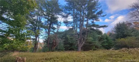 1195 Nys Route 17b Mongaup Valley NY 12762